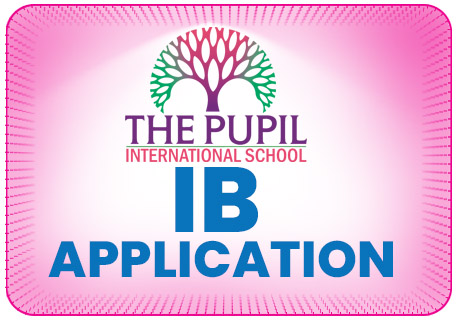 ib application